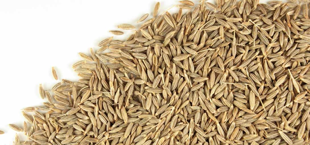 Cumin Seed