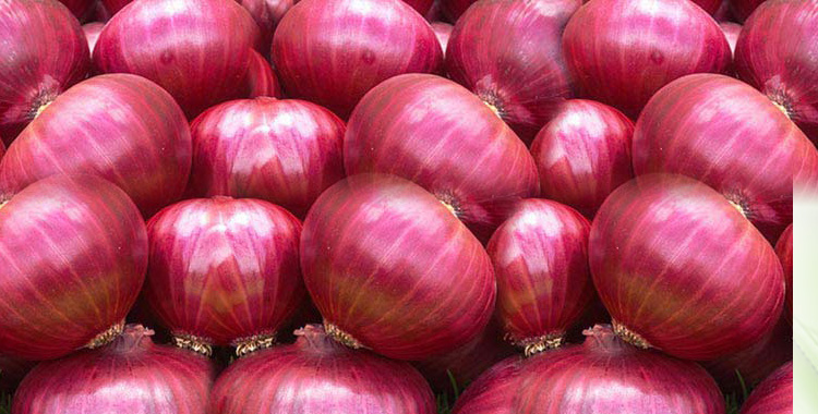 Onion