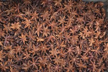 Star Anise